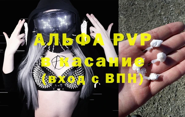 крисы Козловка