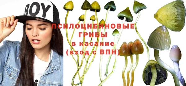 apvp Козельск