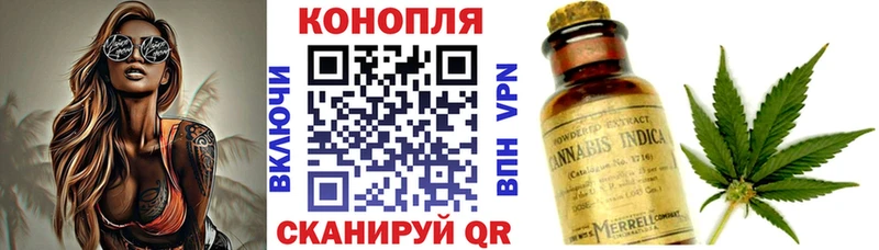 Каннабис конопля Клинцы